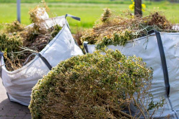 Reliable Forest Glen, MD Junk Removal Services Solutions